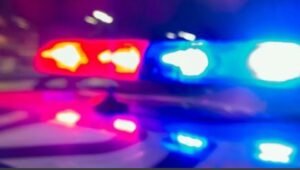 Ellie Thornton Accident Westport CT Obituary, Death - Person Killed In Crash
